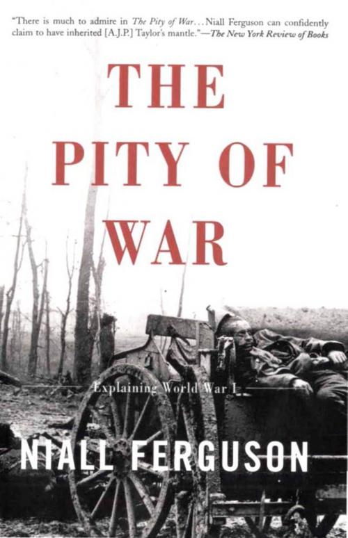 Cover of the book The Pity of War by Niall Ferguson, Basic Books