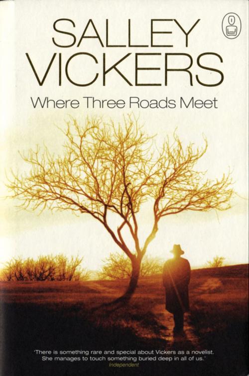 Cover of the book Where Three Roads Meet by Salley Vickers, Canongate U.S.