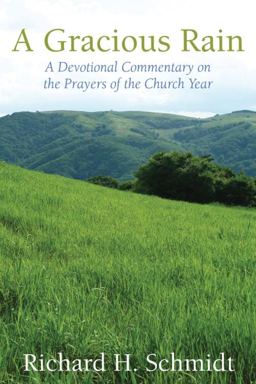 Cover of the book A Gracious Rain by Richard H. Schmidt, Church Publishing Inc.
