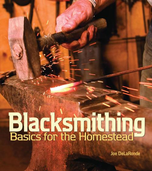 Cover of the book Blacksmithing Basics for the Homestead by Joe DeLaRonde, Gibbs Smith