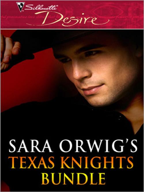 Cover of the book Texas Knights Bundle by Sara Orwig, Silhouette