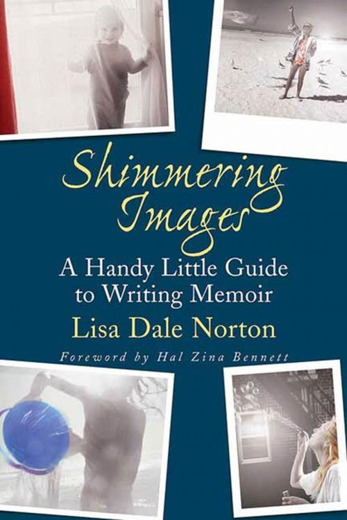 Cover of the book Shimmering Images by Lisa Dale Norton, St. Martin's Press