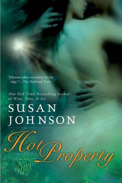 Cover of the book Hot Property by Susan Johnson, Penguin Publishing Group