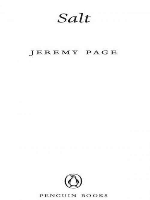 Cover of the book Salt by Jeremy Page, Penguin Publishing Group