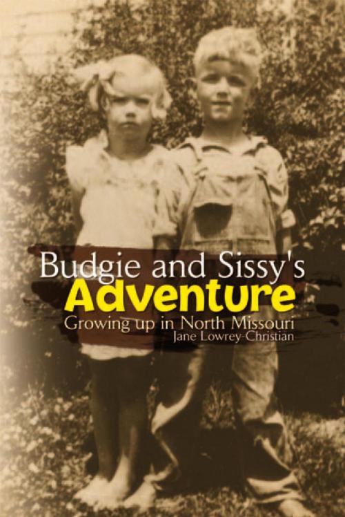 Cover of the book Budgie and Sissy's Adventure by Jane Lowrey-Christian, Xlibris US