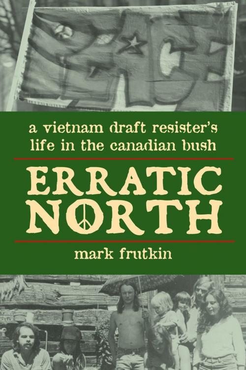 Cover of the book Erratic North by Mark Frutkin, Dundurn