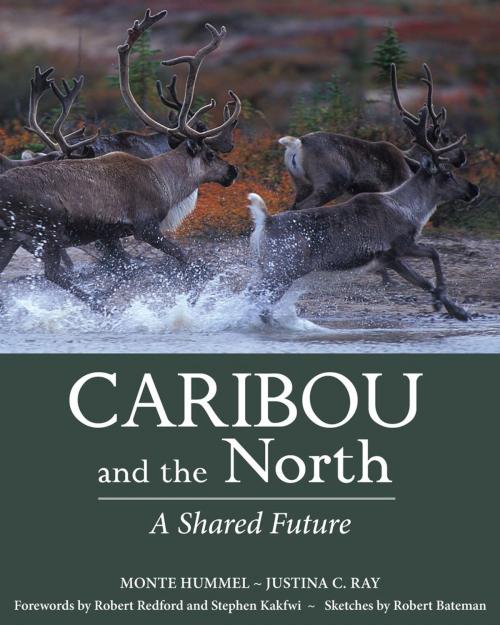 Cover of the book Caribou and the North by Monte Hummel, Justina C. Ray, Dundurn