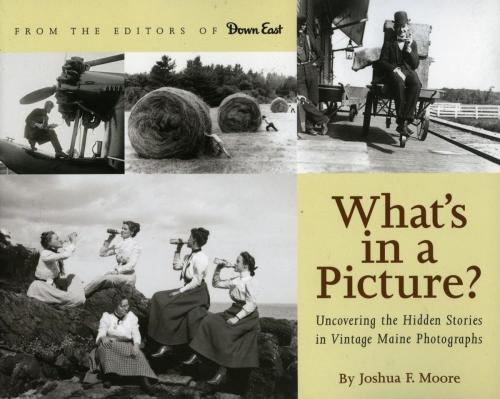 Cover of the book What's in a Picture? by Joshua F. Moore, Down East Books