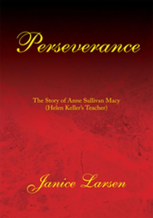 Cover of the book Perseverance by Janice Larsen, Xlibris US