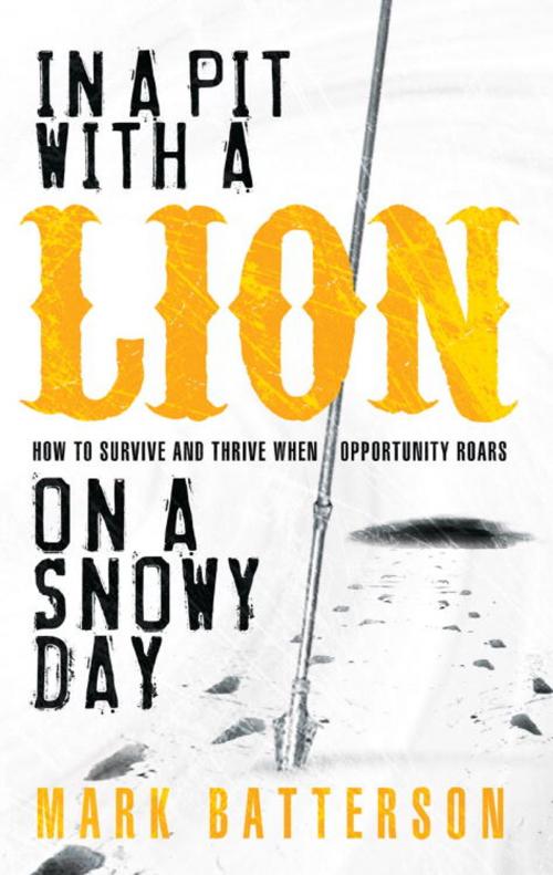 Cover of the book In a Pit with a Lion on a Snowy Day by Mark Batterson, The Crown Publishing Group