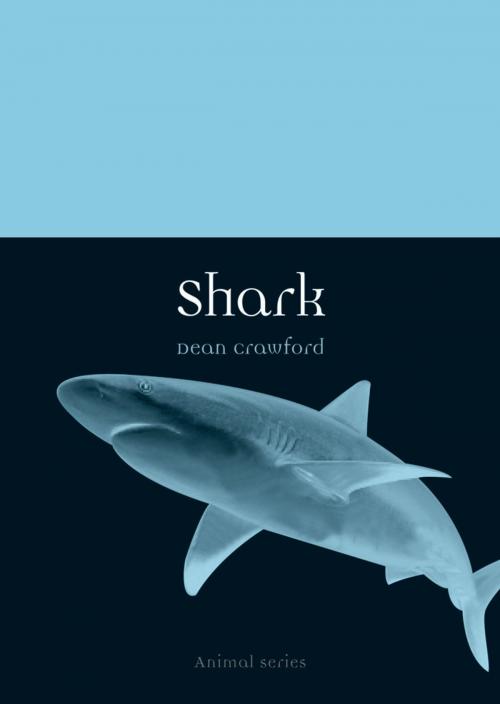 Cover of the book Shark by Dean Crawford, Reaktion Books