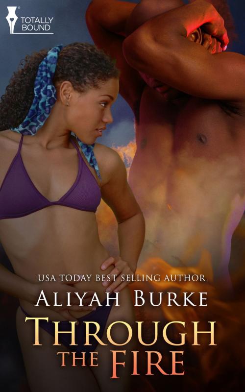 Cover of the book Through the Fire by Aliyah Burke, Totally Entwined Group Ltd