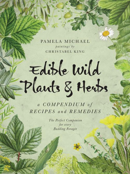 Cover of the book Edible Wild Plants & Herbs by Pamela Michael, Grub Street Publishing