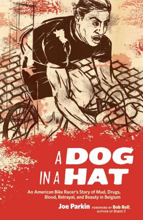 Cover of the book A Dog in a Hat by Joe Parkin, VeloPress