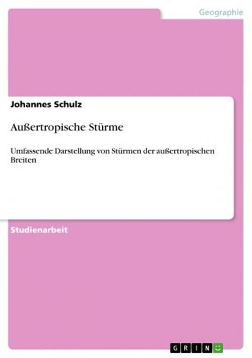 Cover of the book Außertropische Stürme by Johannes Schulz, GRIN Verlag