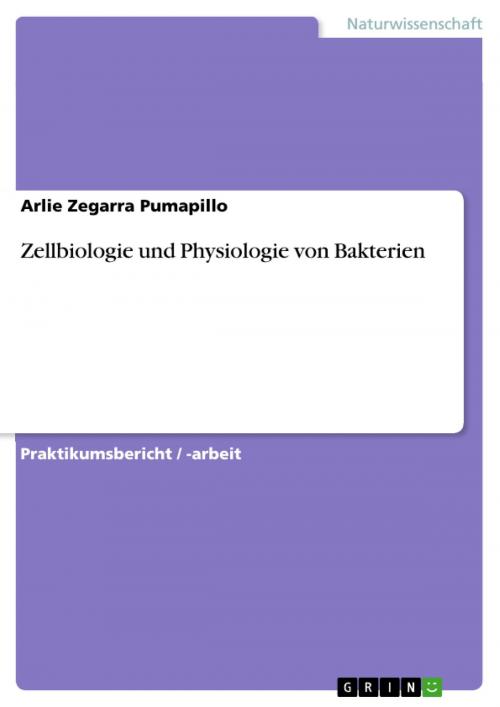 Cover of the book Zellbiologie und Physiologie von Bakterien by Arlie Zegarra Pumapillo, GRIN Verlag