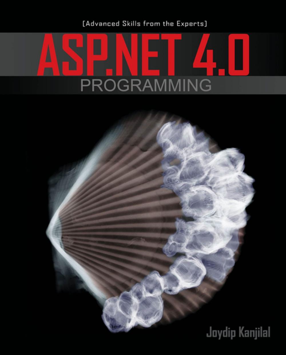 Big bigCover of ASP.NET 4.0 Programming