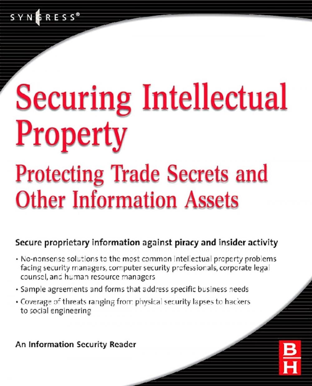 Big bigCover of Securing Intellectual Property