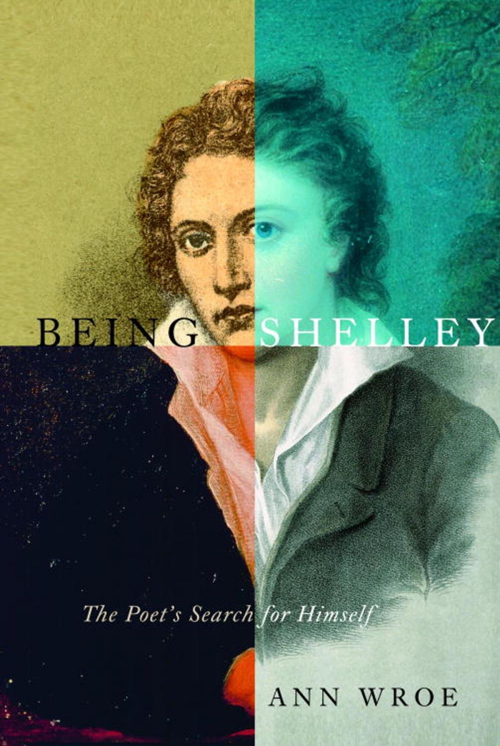 Big bigCover of Being Shelley