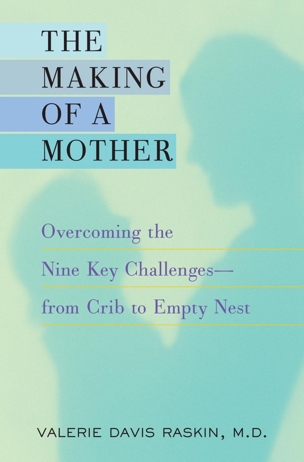 Big bigCover of The Making of a Mother