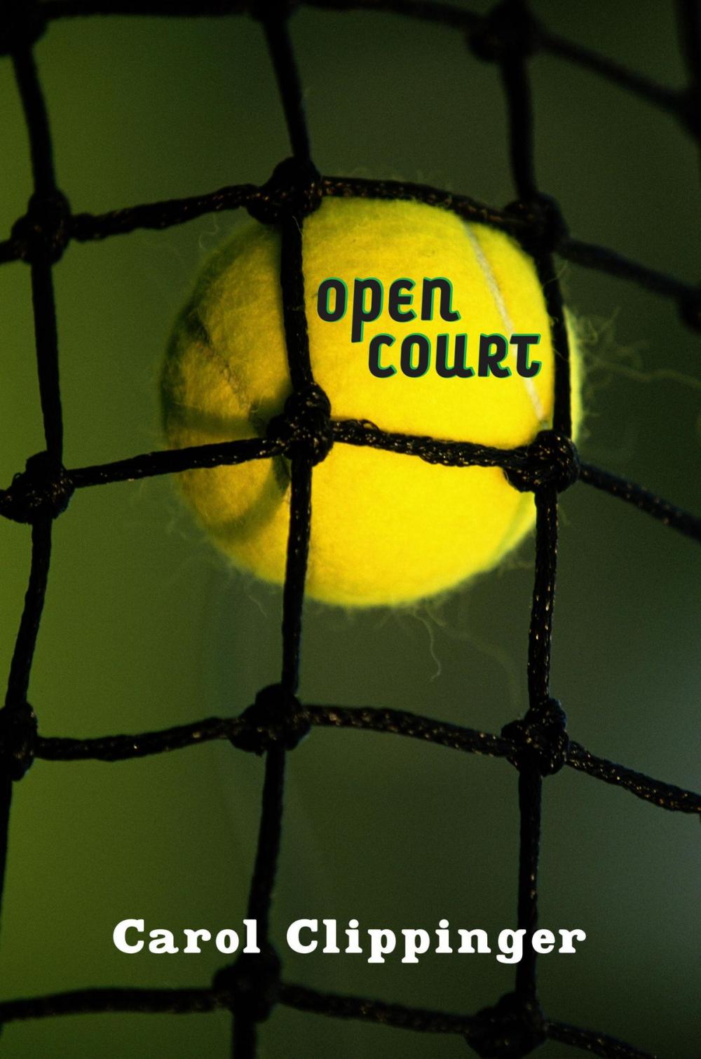 Big bigCover of Open Court