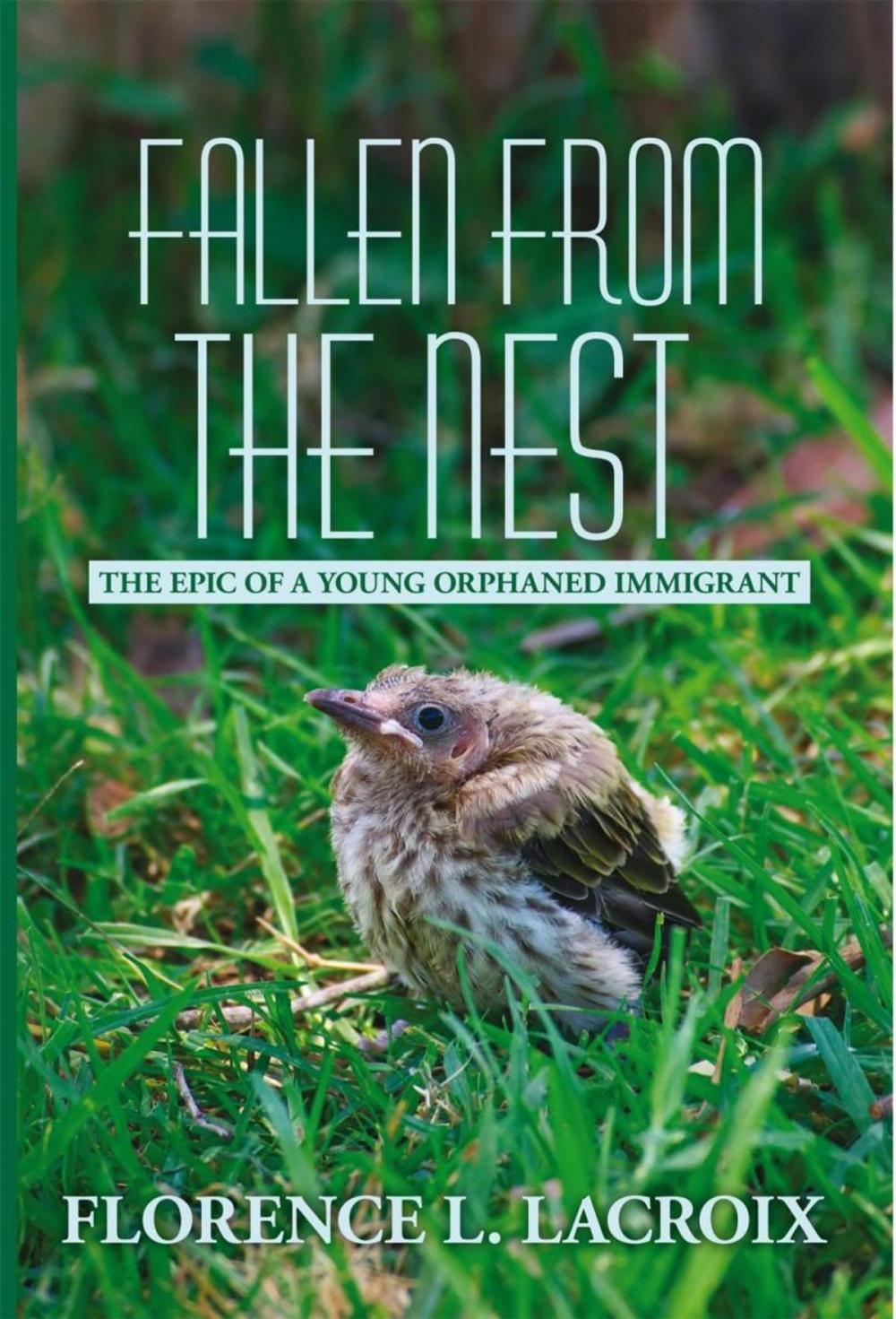 Big bigCover of Fallen from the Nest