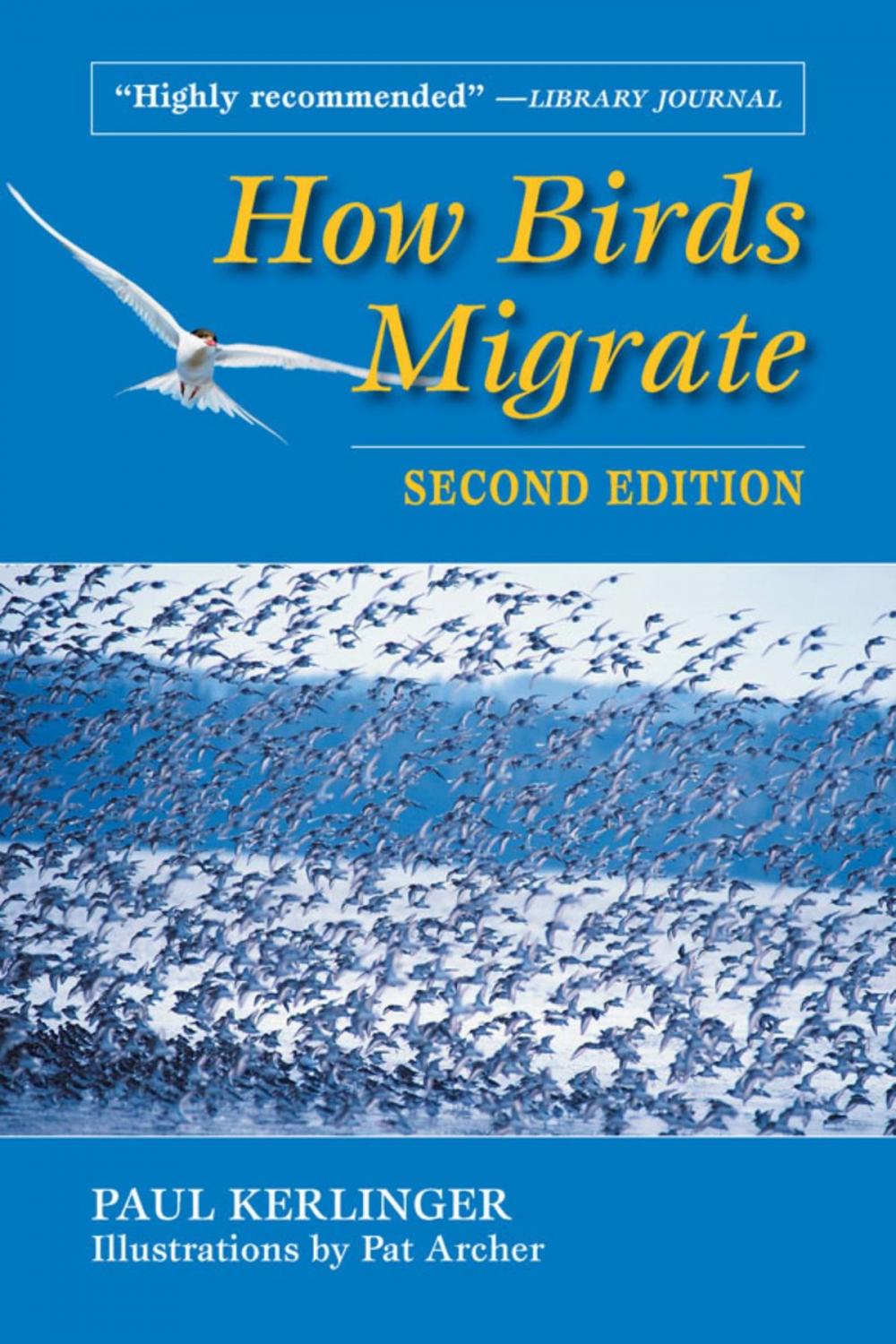 Big bigCover of How Birds Migrate