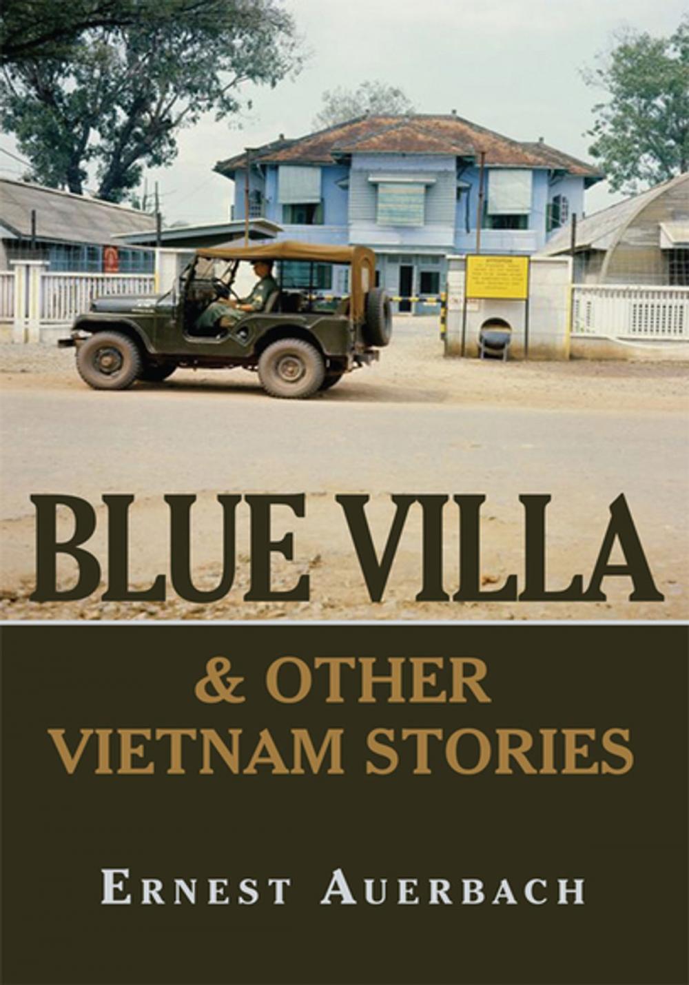 Big bigCover of Blue Villa & Other Vietnam Stories
