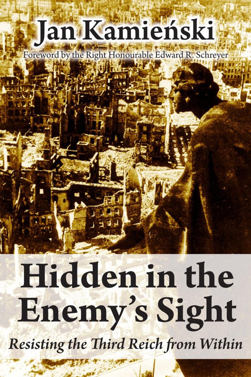 Big bigCover of Hidden in the Enemy's Sight