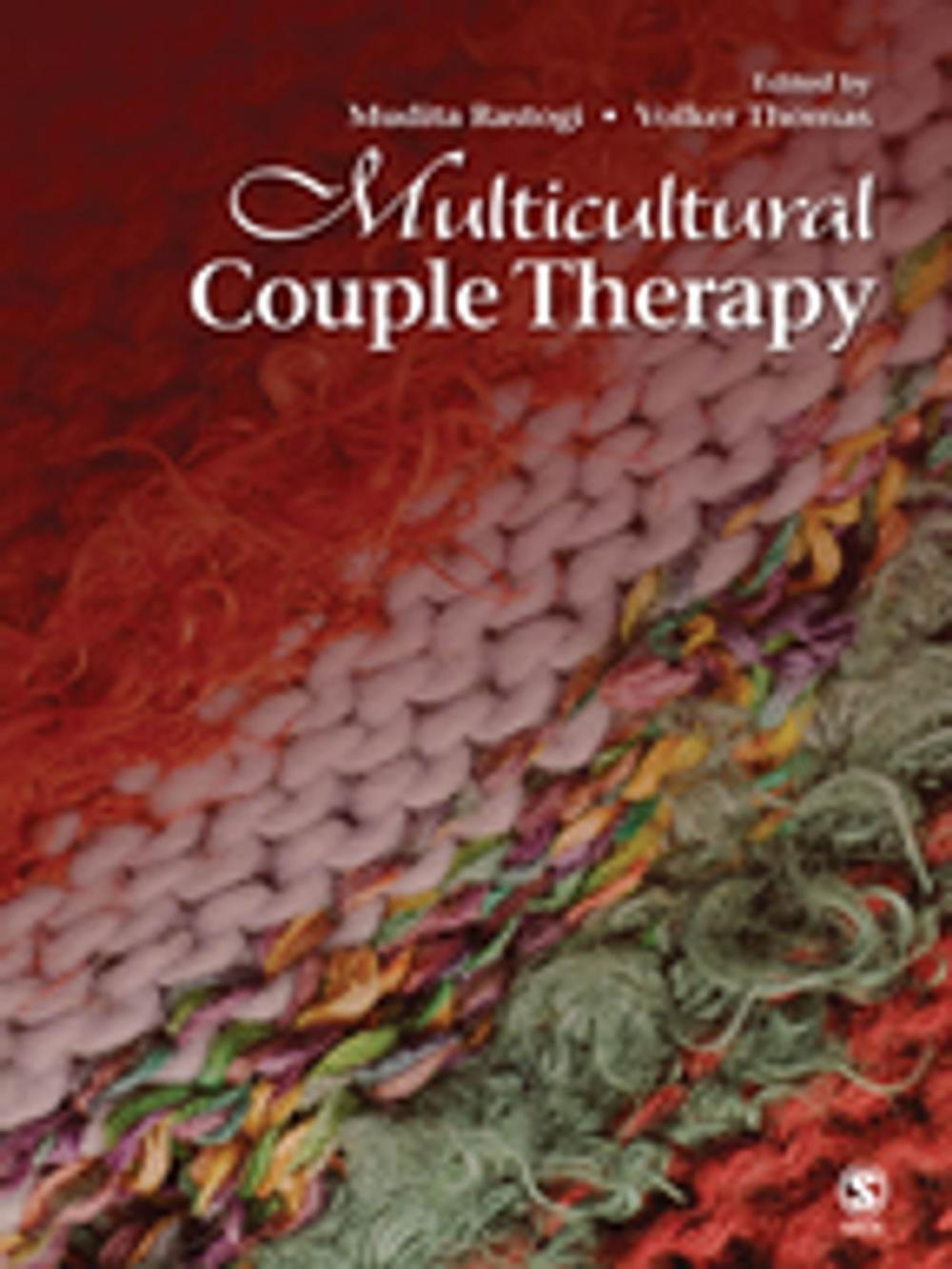 Big bigCover of Multicultural Couple Therapy