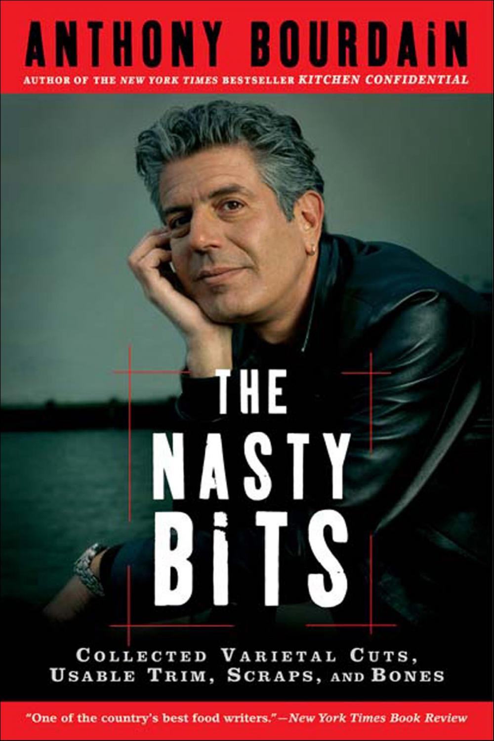 Big bigCover of The Nasty Bits