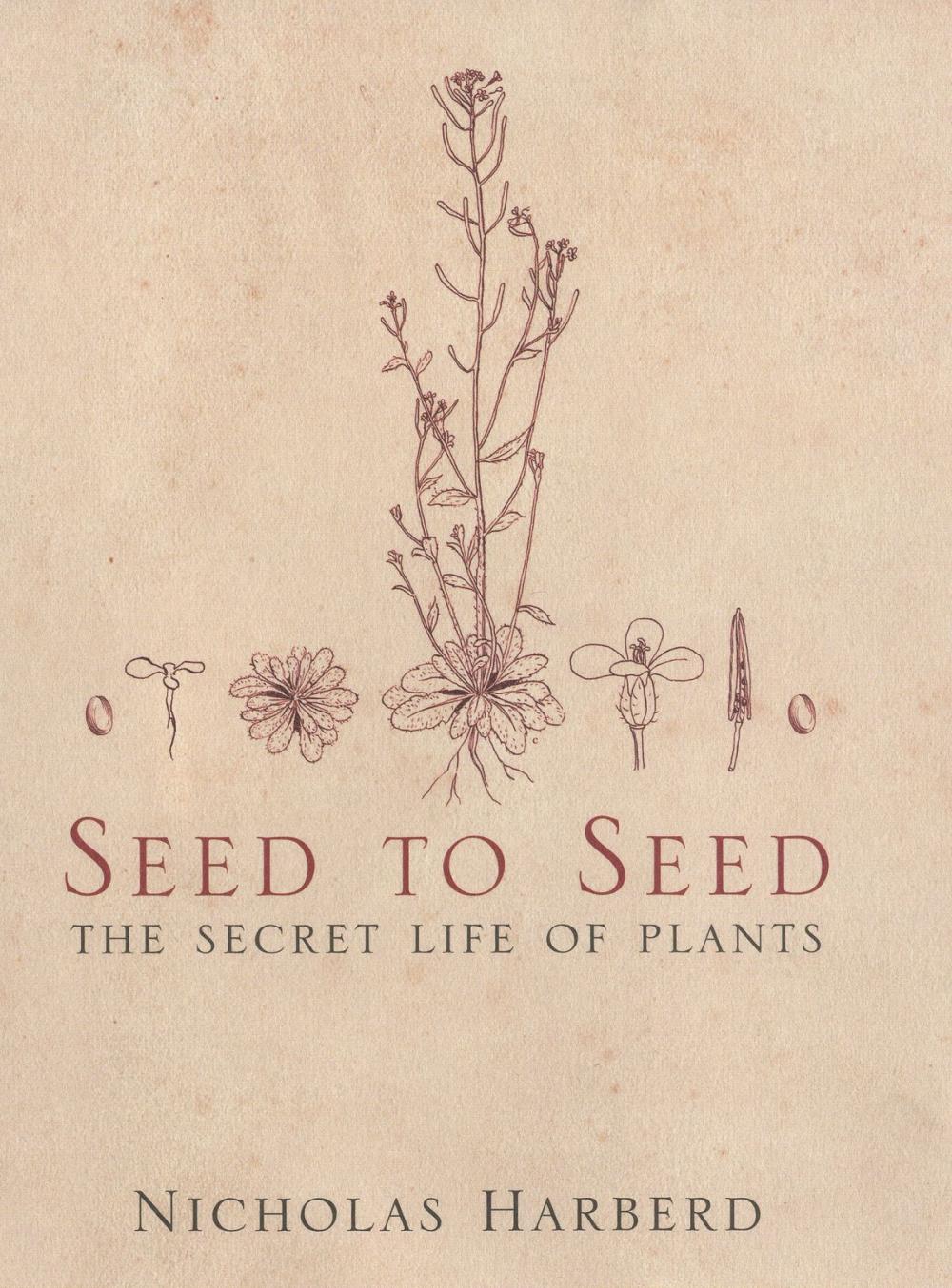 Big bigCover of Seed to Seed