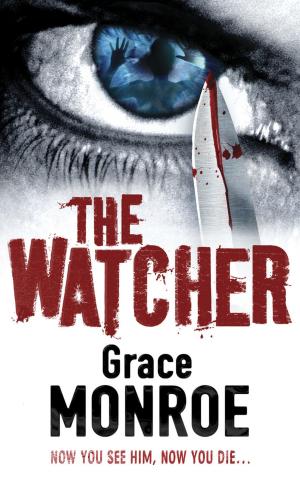Cover of the book The Watcher by Stacy Gregg