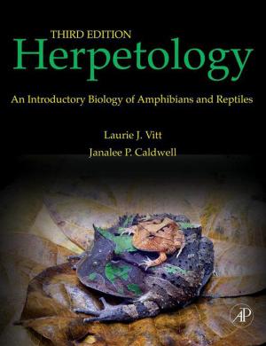 Cover of the book Herpetology by Eicke R. Weber