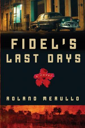 Cover of the book Fidel's Last Days by Michael Ridpath