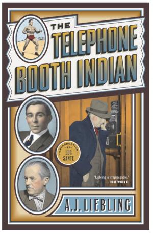 Cover of the book The Telephone Booth Indian by Angela Venturini