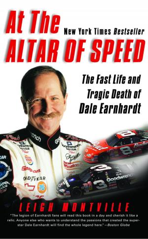 Cover of the book At the Altar of Speed by Margriet De Moor