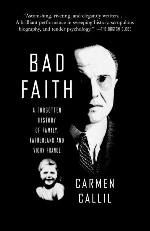 Cover of the book Bad Faith by Larry Lewis