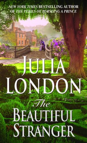 Cover of the book The Beautiful Stranger by Alison Weir