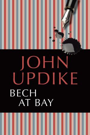 Cover of the book Bech at Bay by John Feinstein