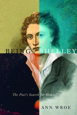 Cover of the book Being Shelley by Peter Mendelsund