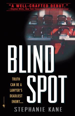 Cover of the book BLIND SPOT by Kevin Anderson