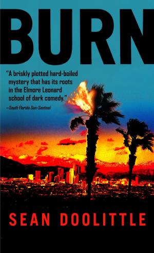 Cover of the book Burn by Alan Dean Foster