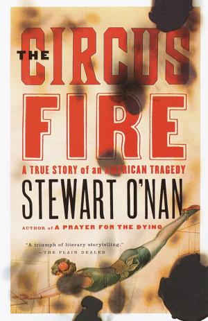 Cover of the book The Circus Fire by Amanda Craig