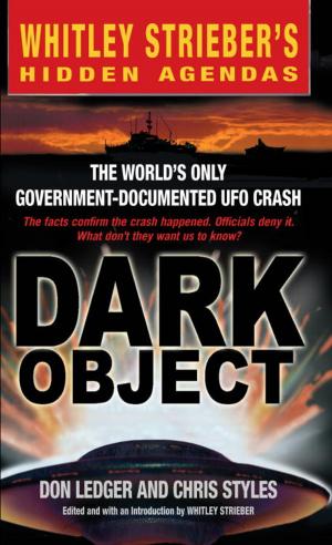Cover of the book Dark Object by Louis Begley