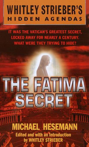 Cover of the book The Fatima Secret by Nancy Thayer