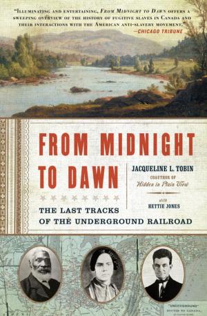 Book cover of From Midnight to Dawn