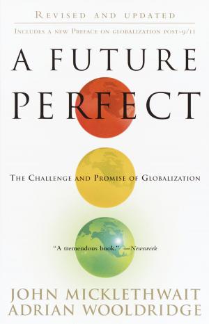 Cover of the book A Future Perfect by Daniel Fox