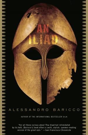 Cover of the book An Iliad by Blanche McCary Boyd
