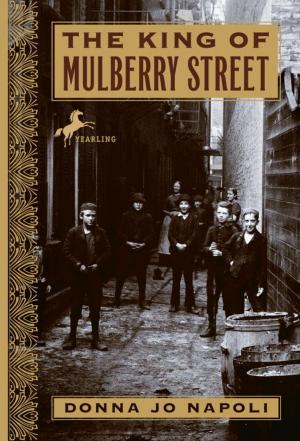 Cover of the book The King of Mulberry Street by Lesley M. M. Blume